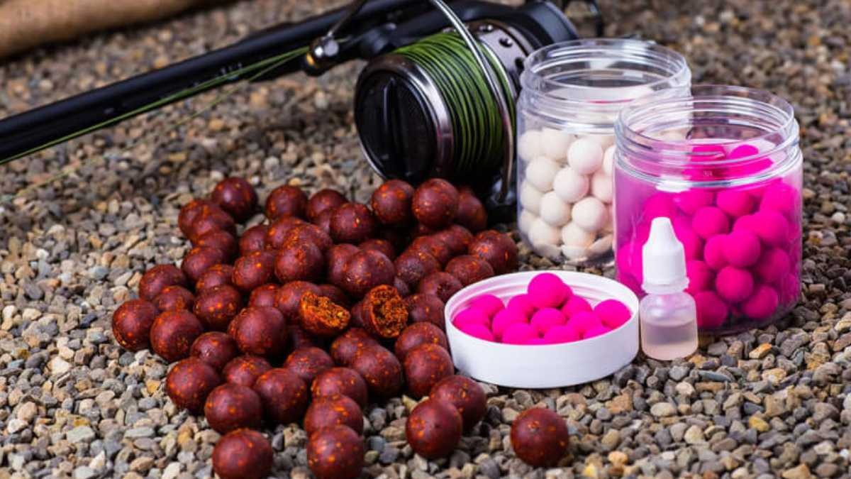 DYNAMI Magasin -DYNAMI Magasin quelle bouillette en hiver